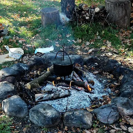 Alojamento de Turismo Rural Palac Kietlin Niemcza
