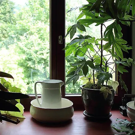 Palac Kietlin Фермерский дом