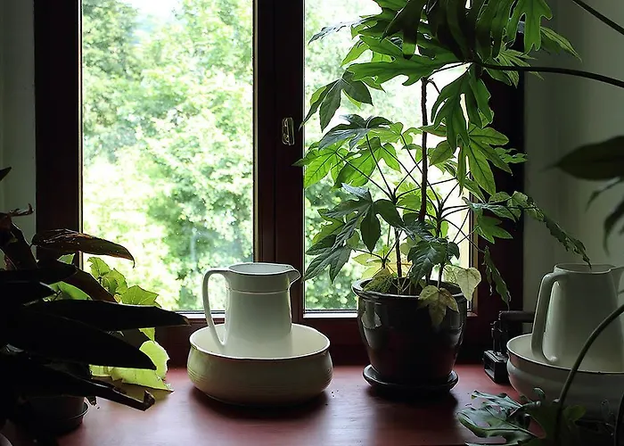 Pałac Kietlin Gospodarstwo agroturystyczne